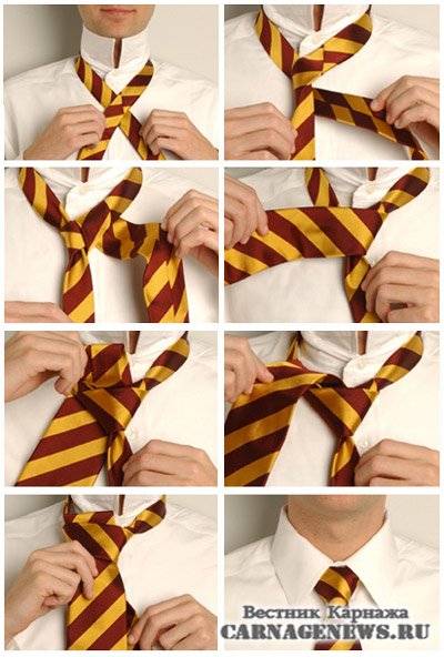 галстук2