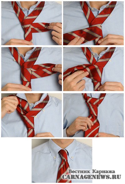 галстук6