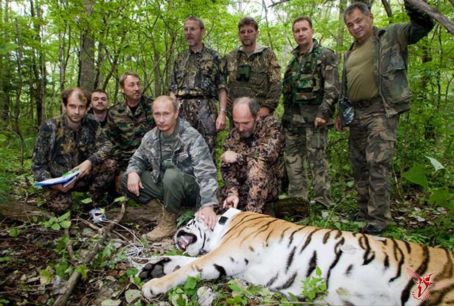 Это было до амфор: Путин и тигрица