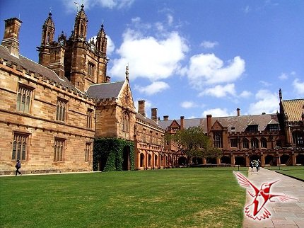Университет в Сиднее
