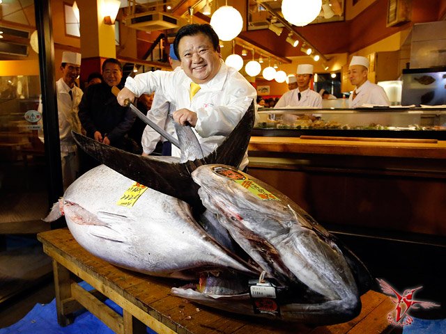 Гигантский тунец продан за 1,8 млн долларов