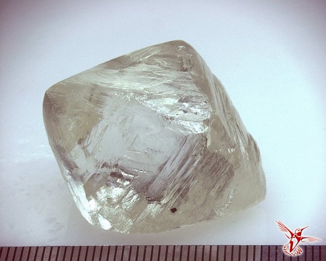 В России добыт алмаз ориентировочной стоимостью в 1 млн долл