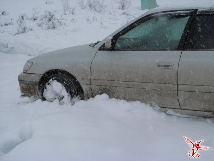 В Алтайском крае неожиданно выпал снег