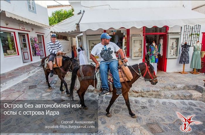 Греческий остров, где нет автомобилей, но есть ослы