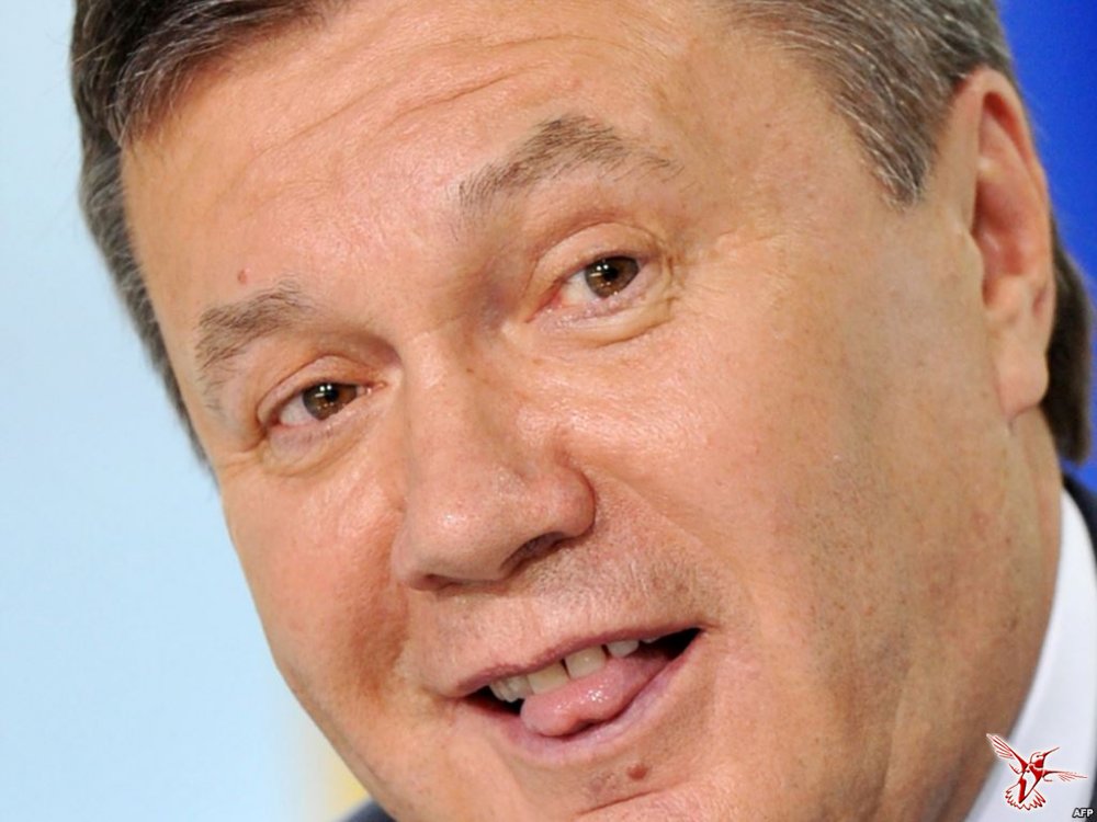 Янукович сообщил об окончательном выборе между РФ и ЕС