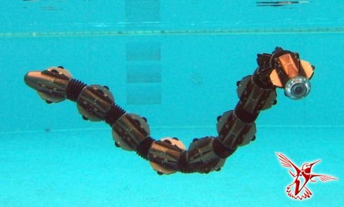 Компания HiBot демонстрирует новые возможности водоплавающего робота-змеи ACM-R5H