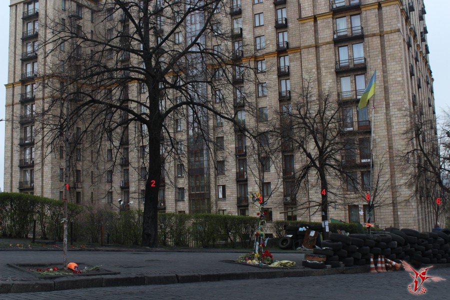Ложь Первого канала: Спиленные деревья на Майдане