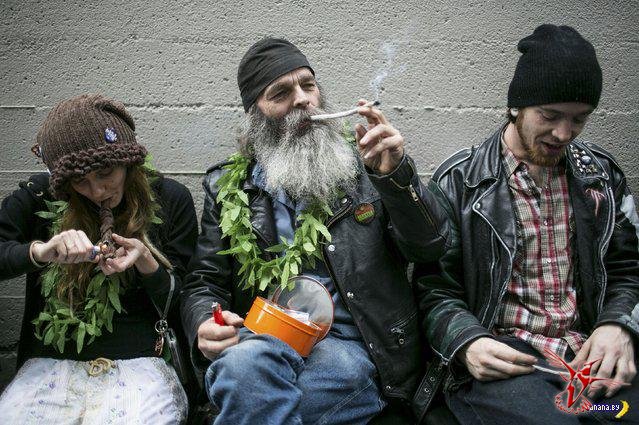 Штат Вашингтон легализовал марихуану