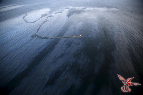 Последствия разлива нефти в Калифорнии