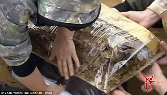 Загадка средневековой сибирской мумии: Вблизи Полярного круга найдена мумия ребенка, принадлежавшего неизвестной арктической цивилизации