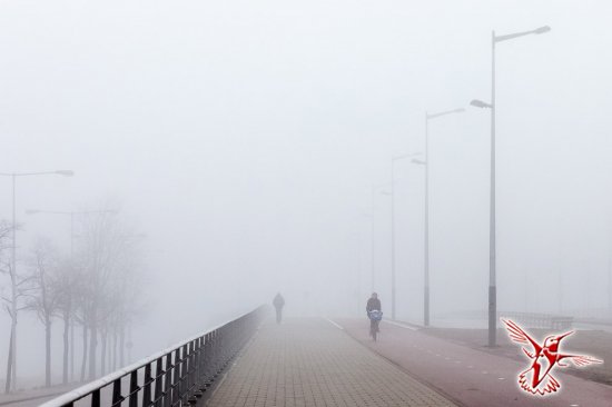 «Дымный» Амстердам