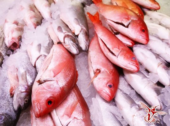 10 видов рыбы, которую лучше не есть