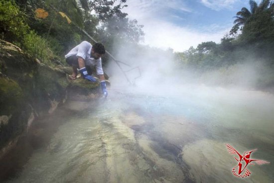 Кипящая река в амазонских джунглях, в которой можно свариться заживо