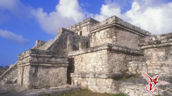 Что привело к гибели цивилизацию майя тысячу лет назад