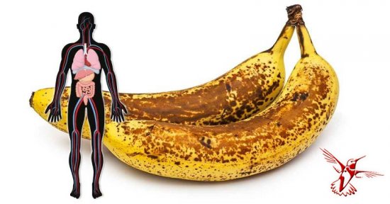 Что произойдет, если вы на протяжении месяца будете каждый день съедать бананы с темными пятнами