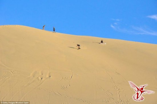 Нет, это не мираж! Удивительный город-оазис среди пустыни в Перу