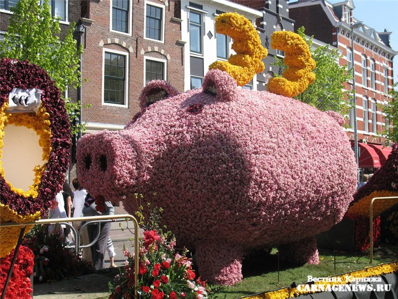 Фестиваль цветов Bloemencorso в Голландии!