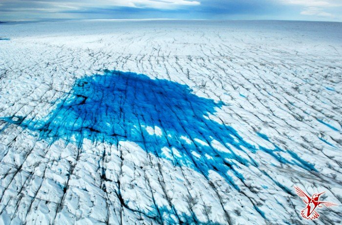 Лед: Портреты исчезающих ледников