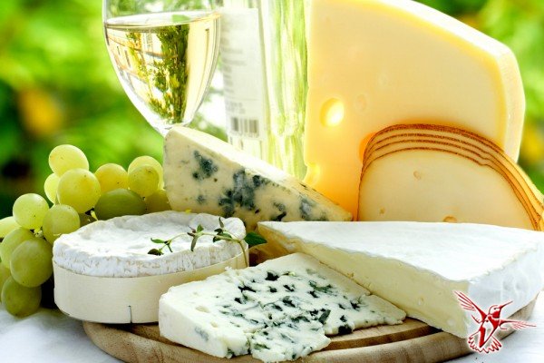 10 самых вкуснейших сыров в мире, которые нужно попробовать