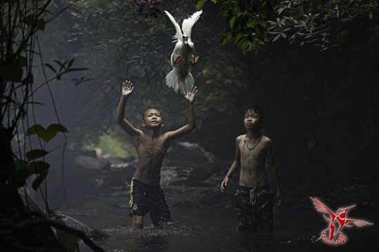 Фотографии – победители конкурса National Geographic Traveler 2015