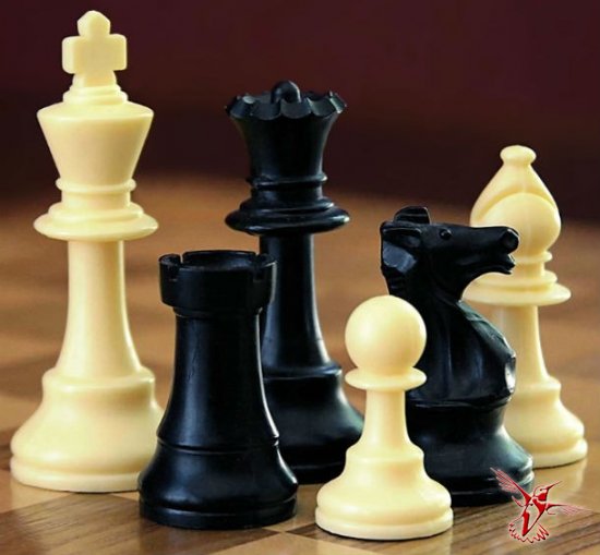 ТОП-25: Любопытные факты о шахматах