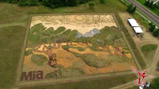 Картина Ван Гога, нарисованная на огромном поле